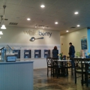 Whidberry Frozen Yogurt - Yogurt