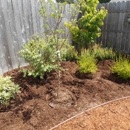 Tender Earth Yard Care - Landscaping & Lawn Services