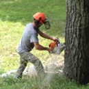 Suffern Tree Service, Inc - Tree Service