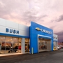 Bush Auto Place