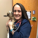 Hometown Veterinary Services - Veterinarians