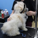 Pet Wash & Grooming Delaware - Pet Services