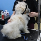 Pet Wash & Grooming Fort Mitchell