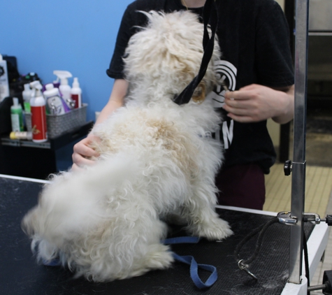 Pet Wash & Grooming Shelbyville - Shelbyville, KY