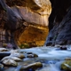 Zion National Park