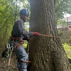 Chatham Tree Service