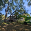 Trees by Forrest | Tree Removal Company in Plymouth, MN gallery