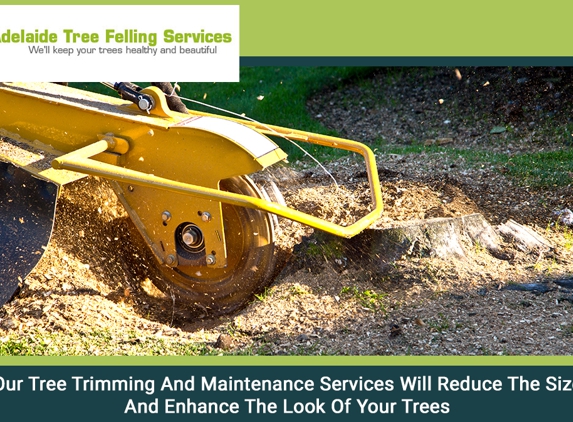 Adelaide Tree Felling Services - Glynde, SA. Our Tree Trimming And Maintenance Services Will Reduce The Size And Enhance The Look Of Your Trees