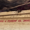 All County Termite & Pest Control gallery