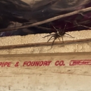 All County Termite & Pest Control