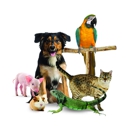 Animal Health Care Center - Veterinarians