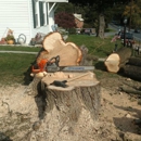 Artisan Arborist Tree Care - Arborists