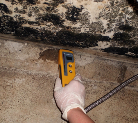 On-Site Mold Analysis - Fort Lauderdale, FL