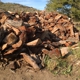 CALIFORNIA TREE SERVICE & FIREWOOD, LLC