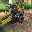 Tree Guys of St Augustine - Tree Service