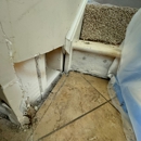 FDP Mold Remediation of Reston - Mold Remediation