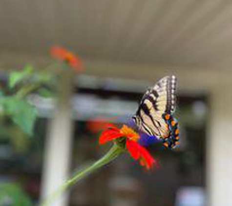 Dry Ridge Bee Supply - Weaverville, NC