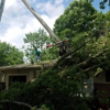 Parker Tree & Excavation Services gallery