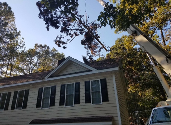 Amazon Tree Service - Fuquay Varina, NC