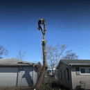 Clemons Tree Service - Arborists