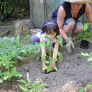 Happy Hollow Children's Center - Day Care Centers & Nurseries