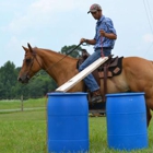 Sport of Horses Park