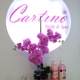 Cartino Nails & Spa Corp