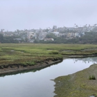 San Elijo Lagoon Ecological Reserve