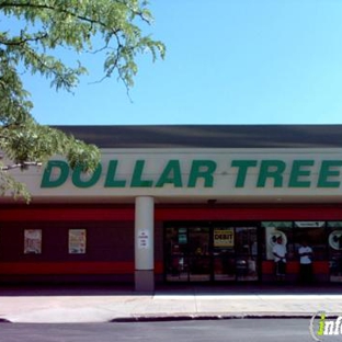 Dollar Tree - Chicago, IL
