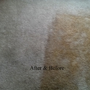 Personal Touch Carpet Cleaning - Upholstery Cleaners