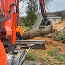 Chad's Tree Service - Tree Service