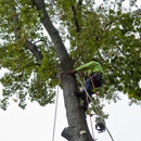 Southeastern Tree & Debris - Tree Service