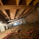 Crawl Attix LLC - Mold Remediation