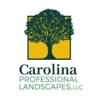 Carolina Professional Landscapes gallery