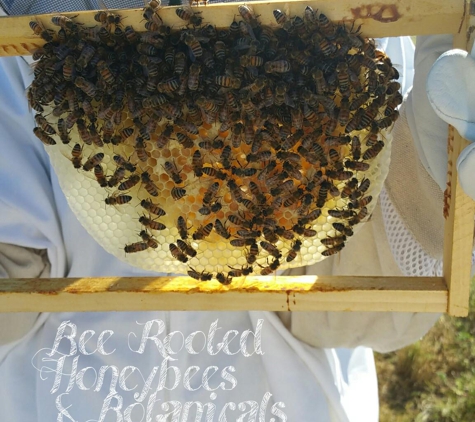 Bee Rooted - Rancho Cucamonga, CA