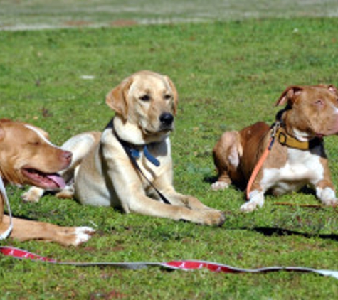 Texas Dog Training - Fort Worth, TX