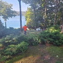 Bay & Mountain Tree Service. - Tree Service