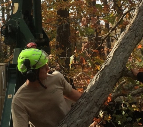 Manor Tree Service - Glen Arm, MD. Tree Service