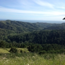 Muir Woods Park Community Association - Association Management