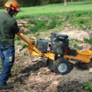 Anywhere Stump Grinding - Lawn Maintenance