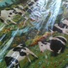 The Ellery Country Cow