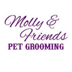 Molly Friends Pet Grooming