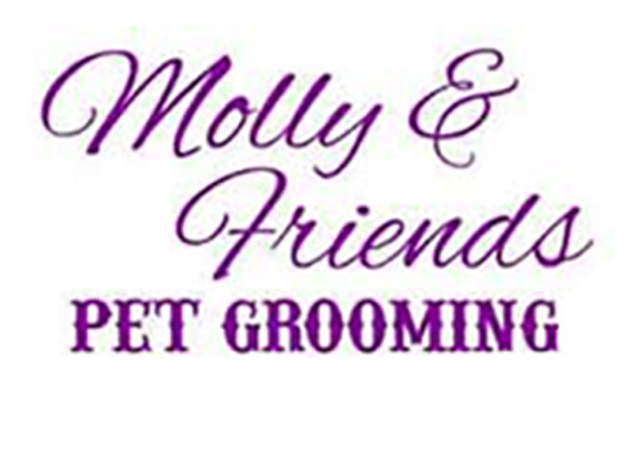 Molly Friends Pet Grooming - Surprise, AZ