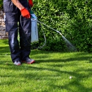 Top Lawn - Lawn Maintenance