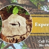 Mml Tree Service gallery