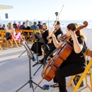 OurStrings4You - Musicians