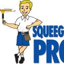 Sqeegee Pro - Window Cleaning