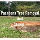 Pasadena Tree Removal and Stump - Tree Service