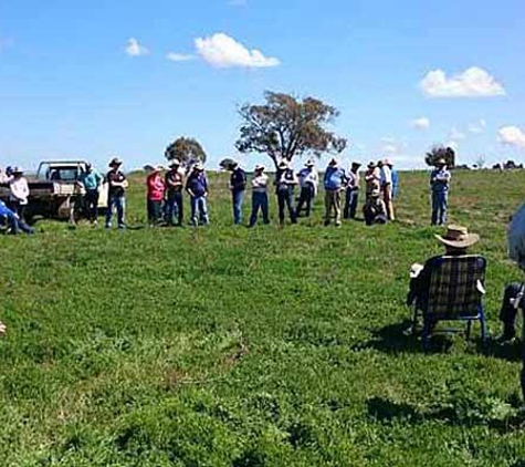 Rural Financial Counselling Service NSW - Northern Region - Scone, NSW