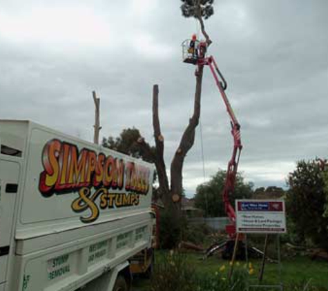 Simpson Trees & Stumps - Alfredton, VIC